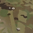 MultiCam